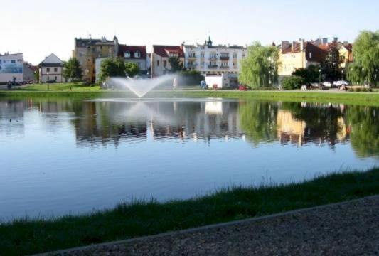Apartament Green Mragowo-Mazury,Blisko Plaza, Centrum! Wi-Fi! Kültér fotó